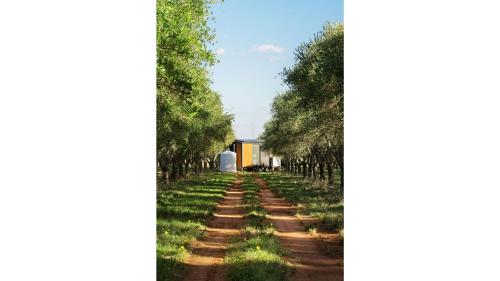 المنظر الخارجي, Olive Grove Retreat 3 by Tiny Away in Lake Boga