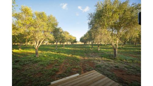 Olive Grove Retreat 3 by Tiny Away in Lake Boga