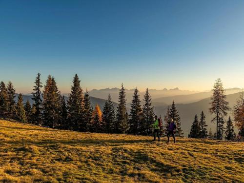 Surrounding environment, Ski-in-Chalet mit Hot Pot und Sauna in Turracher Hohe