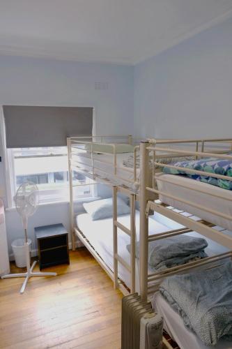 Pint On Punt Backpackers Room Type - Bed in 4-Bed Female Dormitory Room