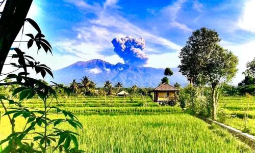 Azhani Bungalow in ซิกูร์