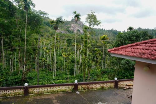 Cloud Wayne, Ambalavayal (photo 9)