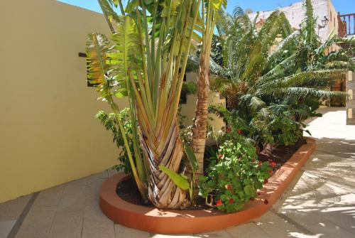Casa Rural La Aldaba - image 6
