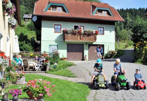 Schlintl-Hof, Pension in Liebenfels bei Liebenfels