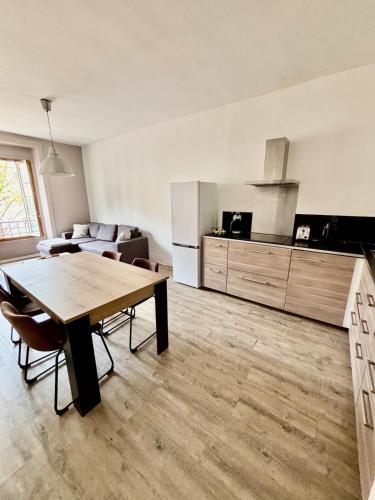 Beautiful Renovated Apartment, Internet, Tram, Lyon (fotografie 6)