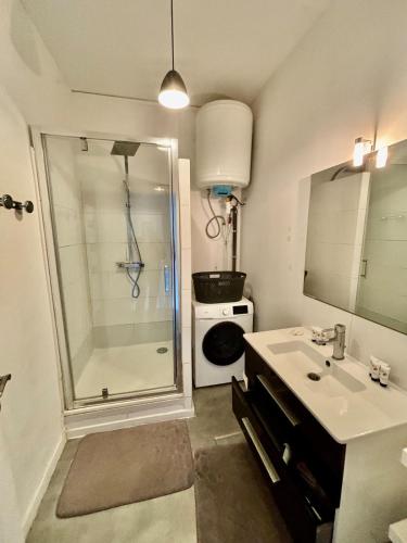 Beautiful Renovated Apartment, Internet, Tram, Lyon (fotografie 9)