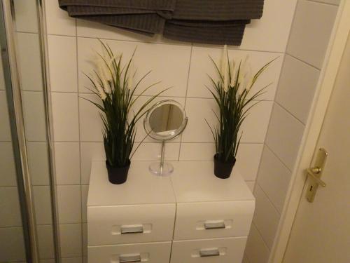 Ferienwohnungen an der Geraaue - image 2