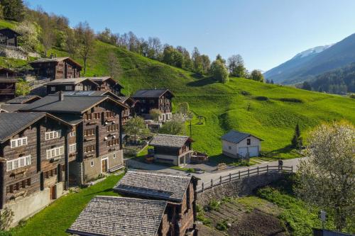 外部景觀, Ferienwohnung Lärchennest (Ferienwohnung Larchennest) in 尼德華爾德