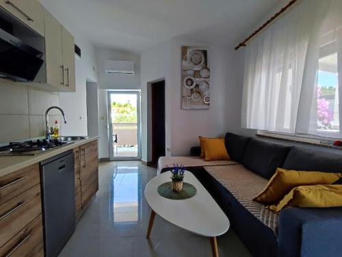 Apartments Jolic in Vir