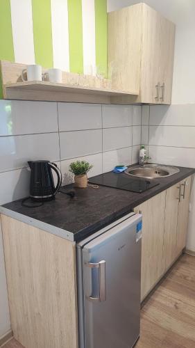 Apartamenty Poddąbek- basen kryty, sauna, animacje dla dzieci , małpi gaj, baseny na dachu