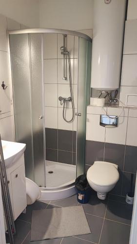 Apartamenty Poddąbek- basen kryty, sauna, animacje dla dzieci , małpi gaj, baseny na dachu