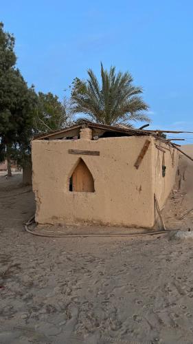 Zoola beach camp & Eco lodge in Nuweiba Vízpart