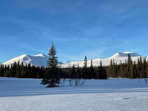 Off-Grid Glamping med Eldstad och Grillplats in Borgafjall