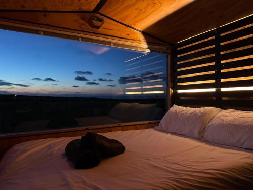 1 Bed Cabin - Sleeps 2 - Pets - Garden - Parking, Ilfracombe (fotografie 6)