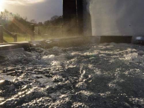 Létesítmények, 4 Bed in Oswestry 74110 in Llandysilio