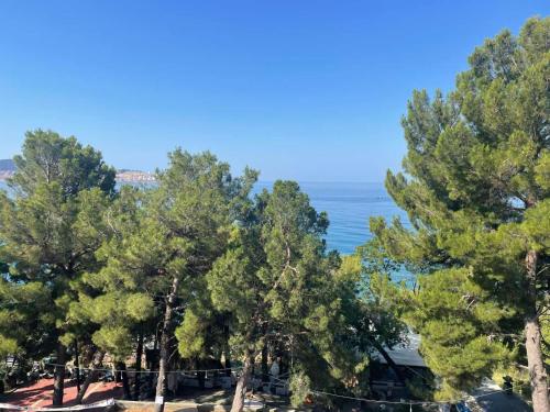 Pine & Sea, Bar (photo 6)
