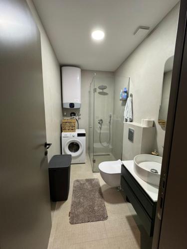 One-Bedroom Apartment image 10