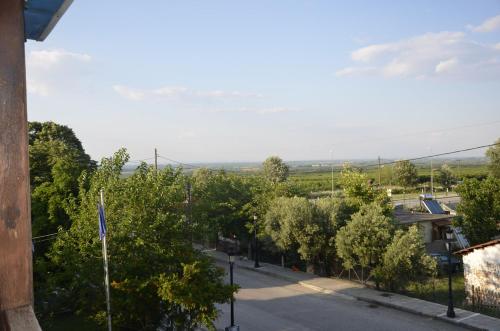 Pension Vergina - image 9