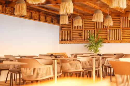 Cruiser Mogador Essaouira in Essaouira