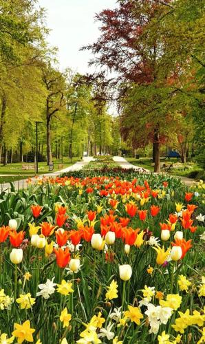 Közeli látványosságok, Entspannt wohnen in Bad Lippspringe Nähe Westfalen Therme genießen (Entspannt wohnen in Bad Lippspringe Nahe Westfalen Therme genießen) in Bad Lippspringe