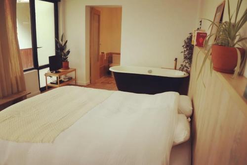 Appartement au pied du château (Appartement au pied du chateau) in ล็องแฌ