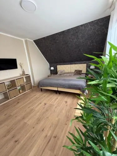 Appartement 1 - Einzimmerwohnung mit Küche und Bad in Salzgitter, Deutschland
