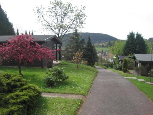 Ferienhof auf dem Berg - Gossersweiler-Stein