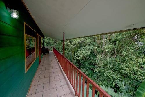 Vedere, Hospedaje Mariposa in Monteverde