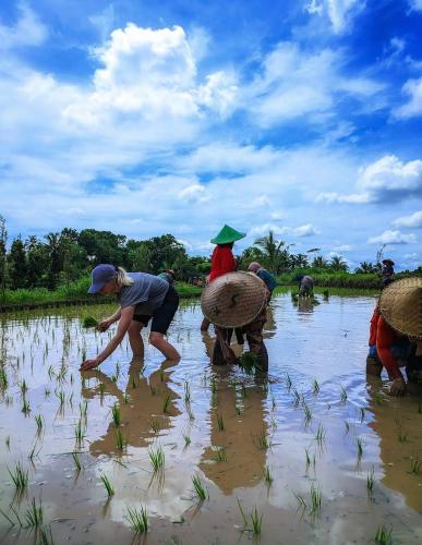 Sendikala Lombok in เซลอง