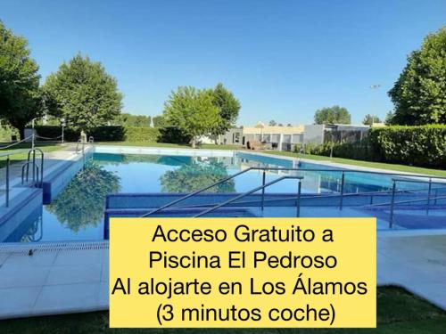Úszómedence, Bungalows Los Álamos de El Pedroso (Bungalows Los Alamos de El Pedroso) in El Pedroso