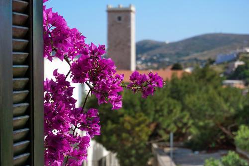 Axilleion Guest House - image 7