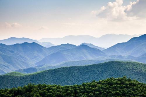 The Vinson – Gatlinburg, TN