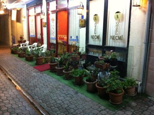  Hotel Necmi in Samsun