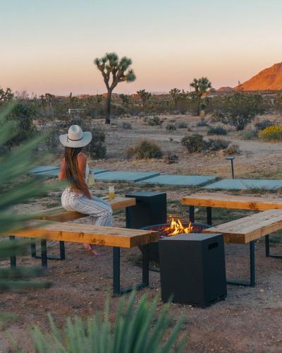 The Moasis 5 Acres With Pool & Bar in Yucca Valley, USA