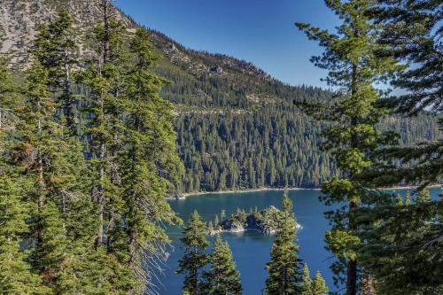 Resort Perks! Everline Corner Retreat w/ 3 Units, Olympic Valley (photo 9)