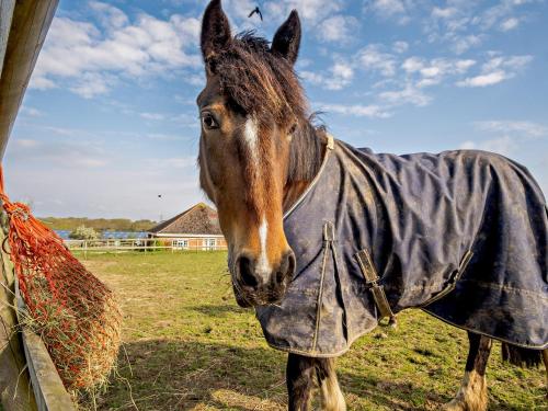 Facilities, 2 Bed in Newport 90243 in Newport North