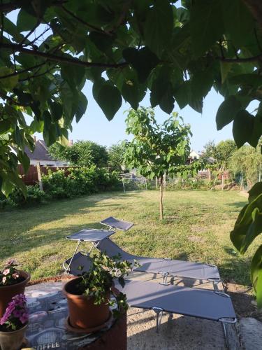 สวน, Hattyú vendégház Poroszló (Hattyu vendeghaz Poroszlo) in โปรอสซโล่