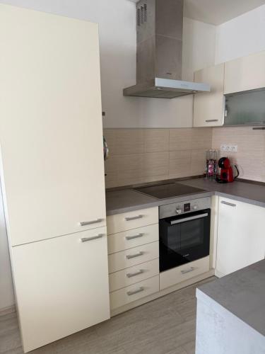 Kitchen, Apartman Plzen - Cernice in Plzen 8