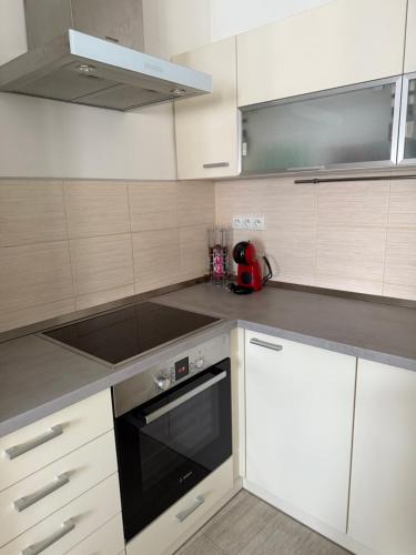 Kitchen, Apartman Plzen - Cernice in Plzen 8