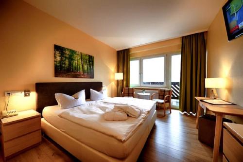 Panorama Hotel Oberwiesenthal im Erzgebirge in 上維森塔爾