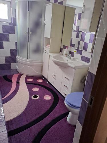 Pensiunea Floare de Bucovina in 弗拉辛