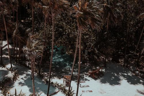 Niken Beachfront Tulum Hotel