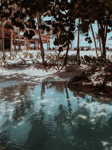 Niken Beachfront Tulum Hotel