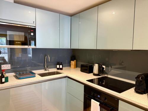 Stylish flat with garden in Notting Hill, Londýn (fotografie 10)