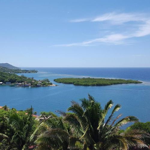 Blue haus in Jonesville