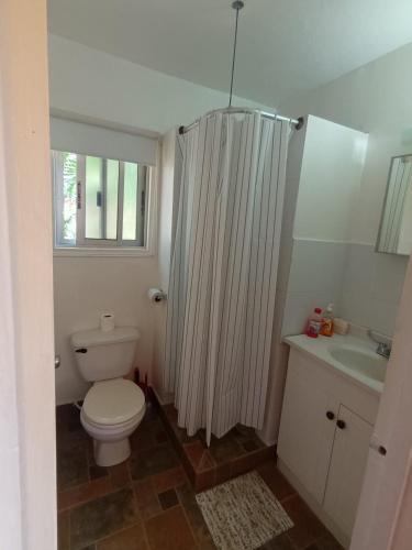 Blue haus in Jonesville