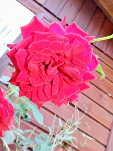 Cabañas Aguas Claras