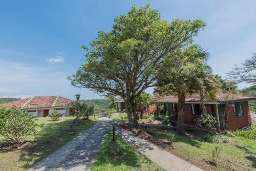 Hotel Montana Monteverde - صورة 5