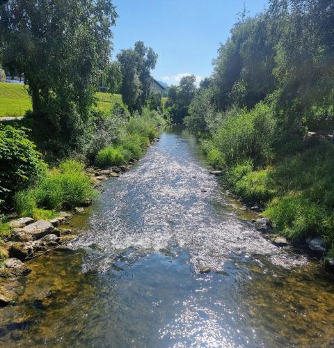 View, Haus Theresia in Bergheim