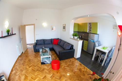 Apartments Vila Masha - image 8